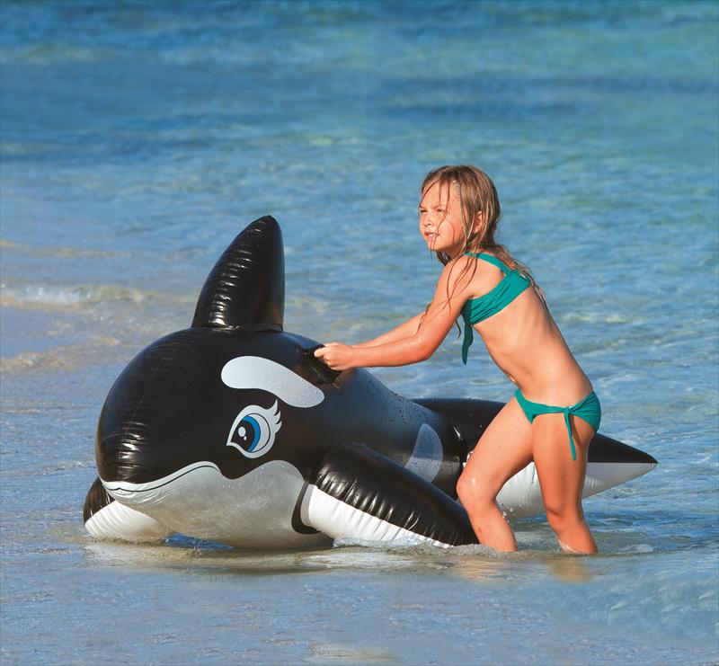 Intex Opblaasbare Walvis Groot Model